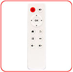 SA-13 OEM Remote Control